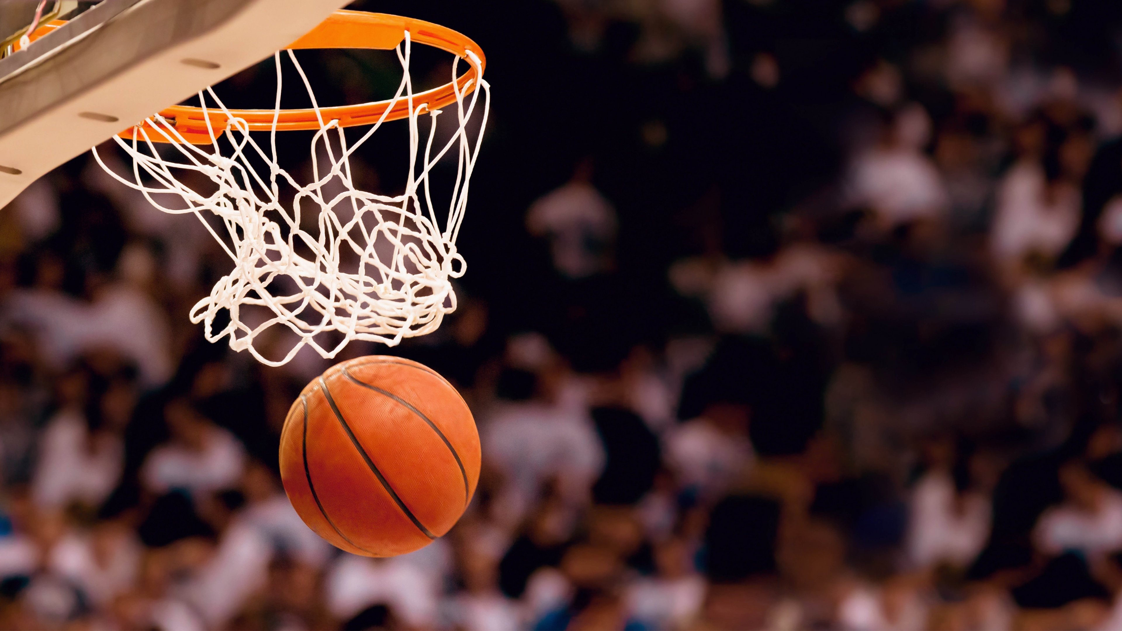 双线焦点，意甲激战与NBA对决，老鹰拿下掘金的体育启示